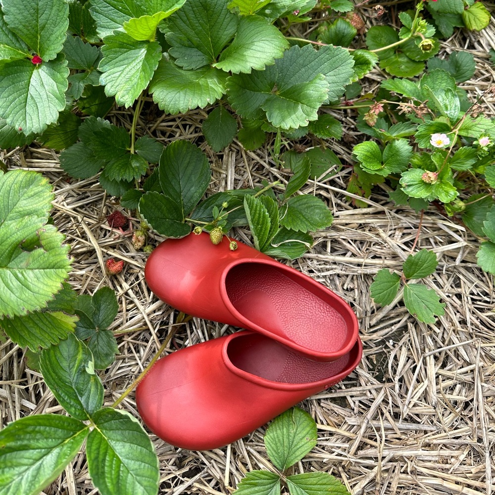 Red Sloggers Kids Clog- worn once